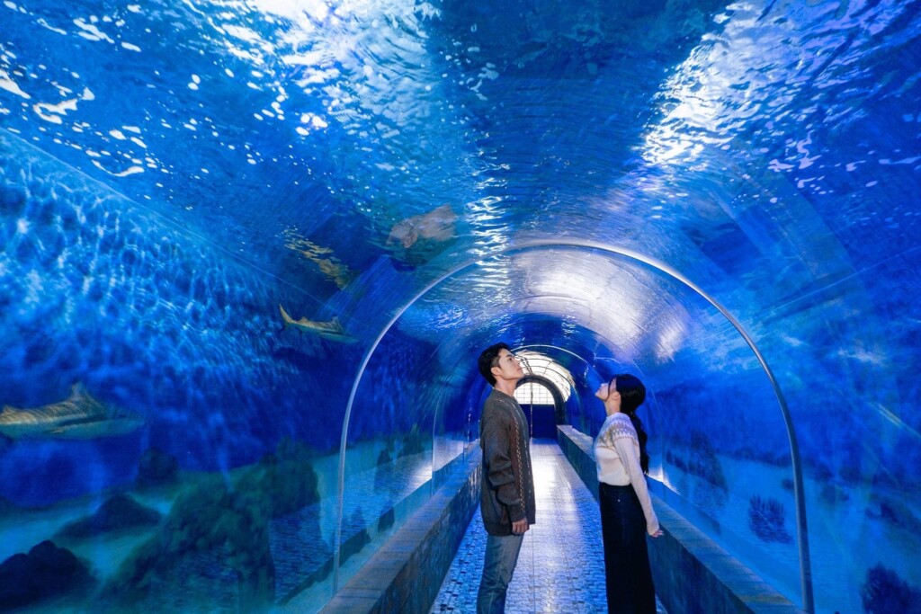 Địa điểm du lịch Nha Trang 2024 7 vien hai duong hoc nha trang 1